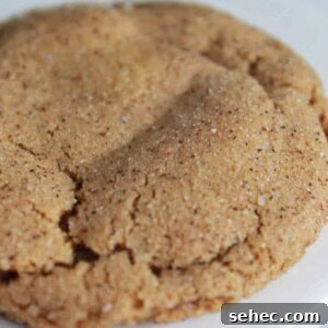 Soft Gingerdoodles recipe