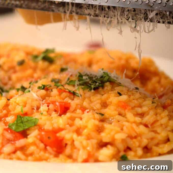 Creamy Tomato Risotto 2 A dish of risotto al pomodoro.