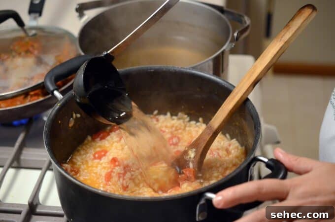 Creamy Tomato Risotto 7 Adding broth to risotto.