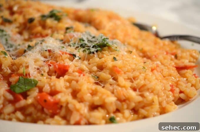 Creamy Tomato Risotto 8 Finished tomato risotto.