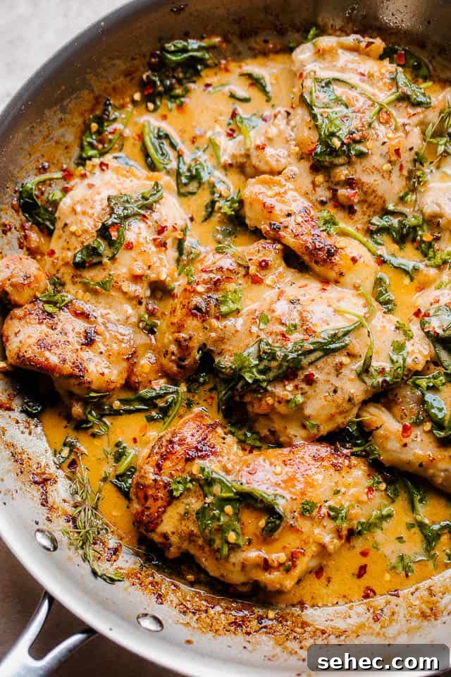 One Pot Creamed Spinach Chicken features tender, juicy chicken thighs smothered in a creamy sauce made with spinach, shallots, wine, and cream. overhead shot of a silver skillet with boneless skinless chicken thighs in a creamy sauce with spinach