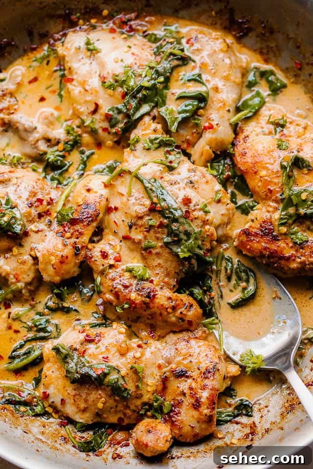One Pot Creamed Spinach Chicken features tender, juicy chicken thighs smothered in a creamy sauce made with spinach, shallots, wine, and cream. overhead shot of boneless skinless chicken thighs in a creamy sauce with spinach