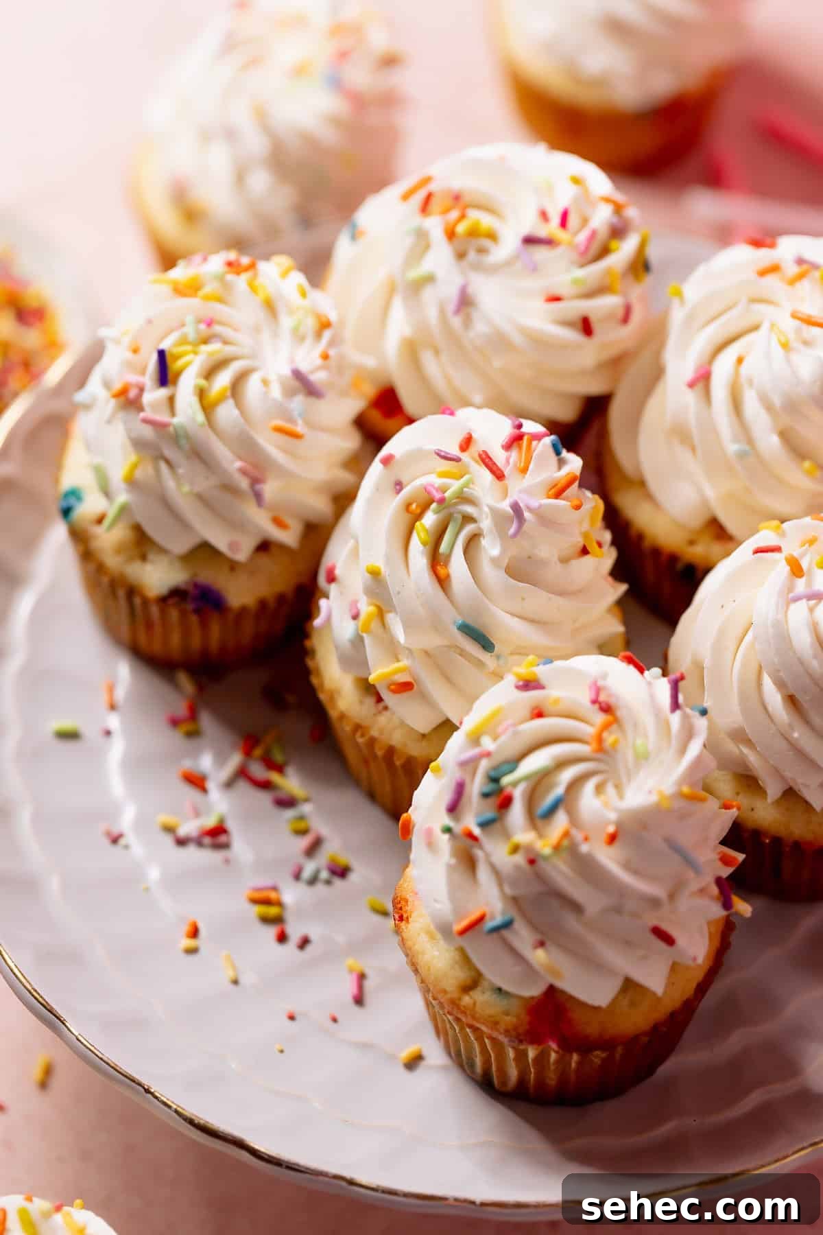 Birthday Cupcakes Recipe I Make Every Year 2 Vanilla birthday cupcakes topped with piped buttercream and rainbow sprinkles on a cake stand.