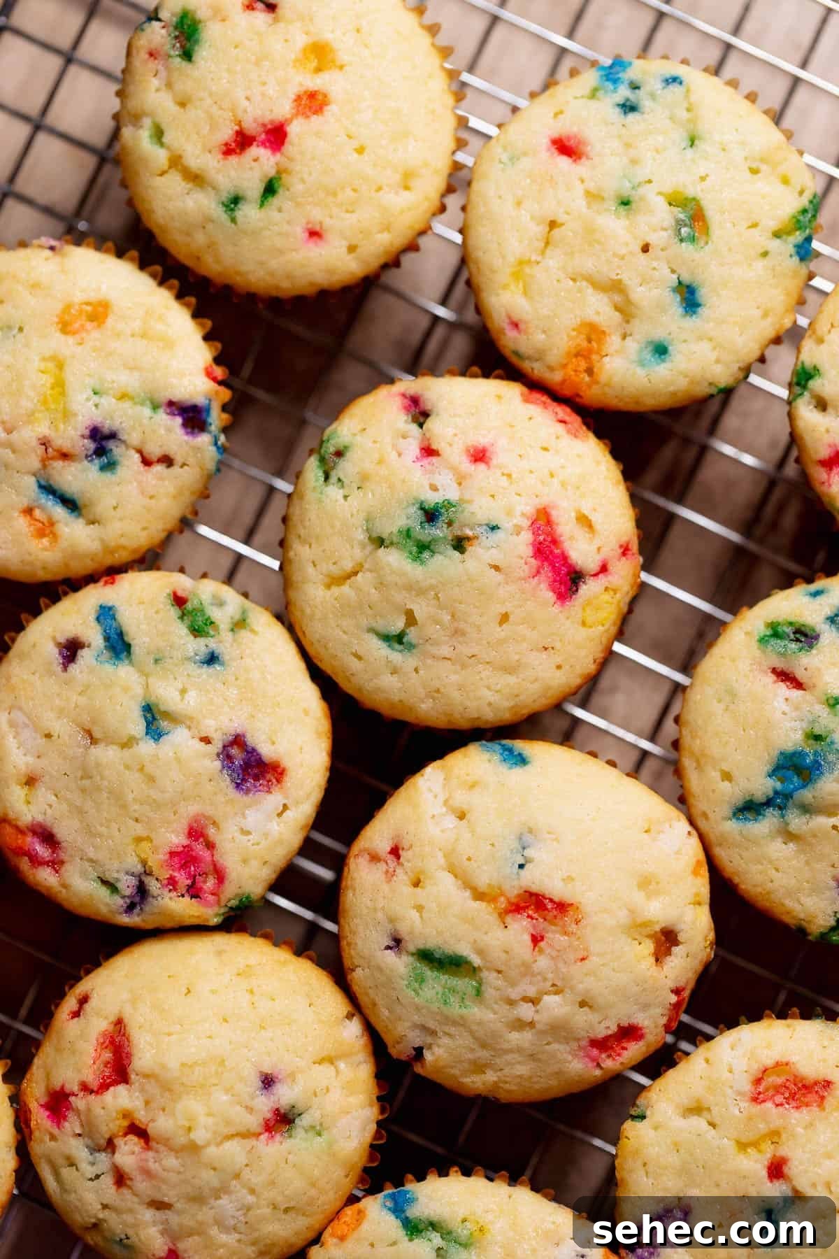 Birthday Cupcakes Recipe I Make Every Year 6 Fluffy funfetti birthday cupcakes cooling on a wire rack, showing a soft vanilla crumb with colorful rainbow sprinkles throughout.