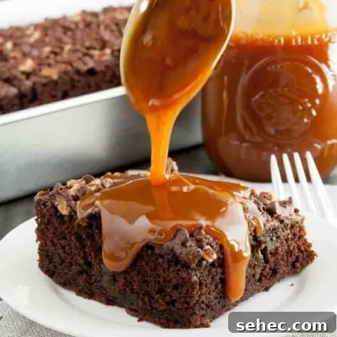 Chocolate Turtle Zucchini Cake