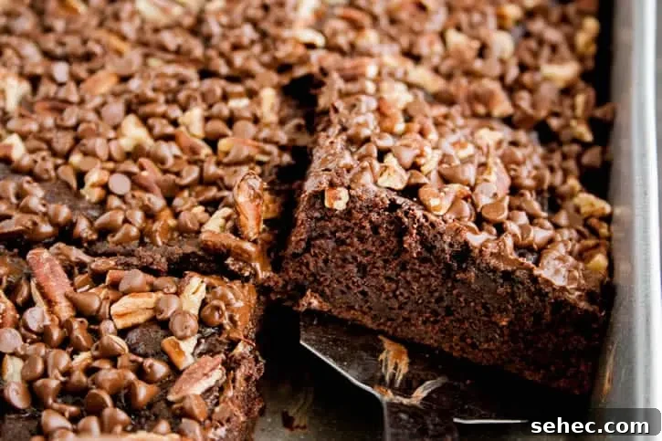 Chocolate Turtle Zucchini Cake REV-2