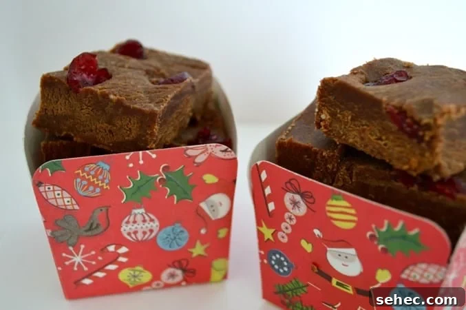 10 Gluten Free and Dairy Free Christmas Recipes 4 Christmas Fudge