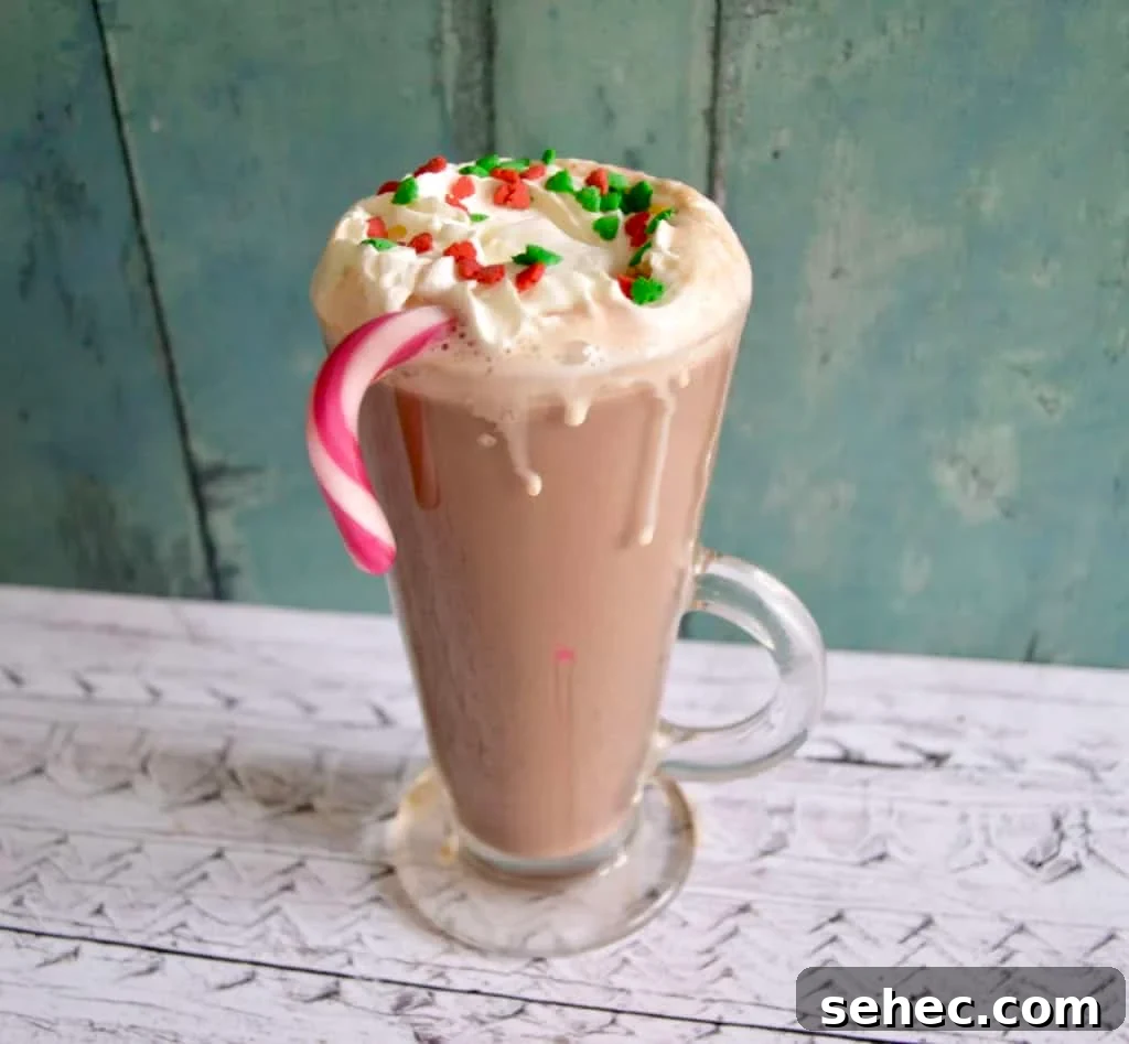 10 Gluten Free and Dairy Free Christmas Recipes 6 Peppermint hot chocolate