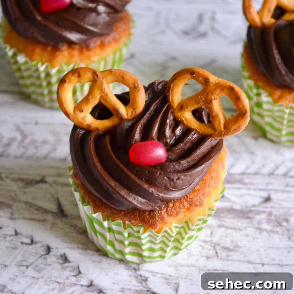 10 Gluten Free and Dairy Free Christmas Recipes 8 rudolph cupcakes