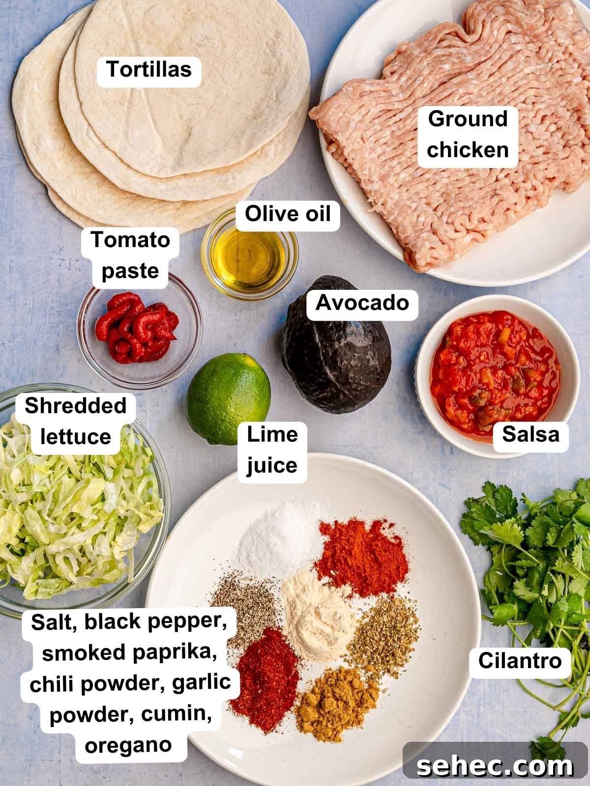 Ground Chicken Tacos with Juicy Mexican Seasoning 3 Ingredients to make ground chicken tacos.