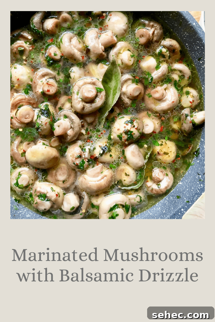 Authentic Homemade Balsamic Vinaigrette Recipe 12 marinated mushrooms with balsamic drizzle