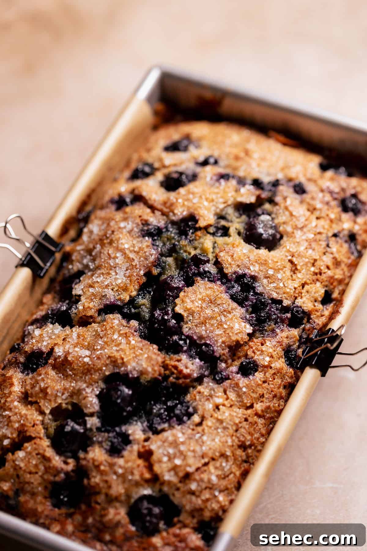 Sugar Crusted Blueberry Banana Bread 6 Freshly baked blueberry banana bread with a golden crackly top in a loaf pan.