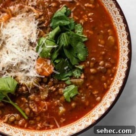 Slow Cooker Beef and Barley Stew Recipe 11 Close up of a bowl of sausage and lentil soup garnished with herbs and parmesan cheese
