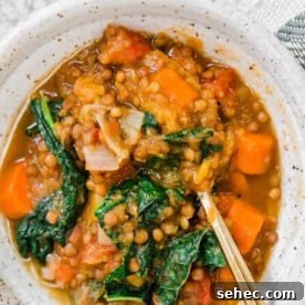 Slow Cooker Beef and Barley Stew Recipe 14 Instant Pot lentil soup with squash