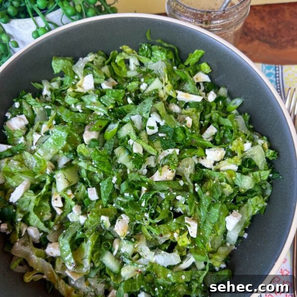 Maroulosalata Greek Green Salad with Fresh Herbs 2 thin ribbons of romaine, feta, herbs and cucumbers tossed in bowl