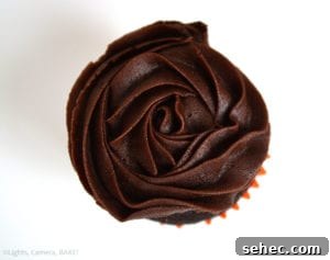 Mini Chocolate Cupcakes with rich chocolate buttercream