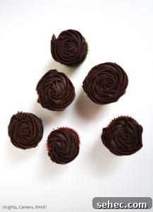 Mini chocolate cupcakes arranged with chocolate frosting