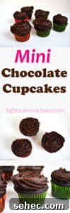 Mini Chocolate Cupcakes with chocolate buttercream frosting