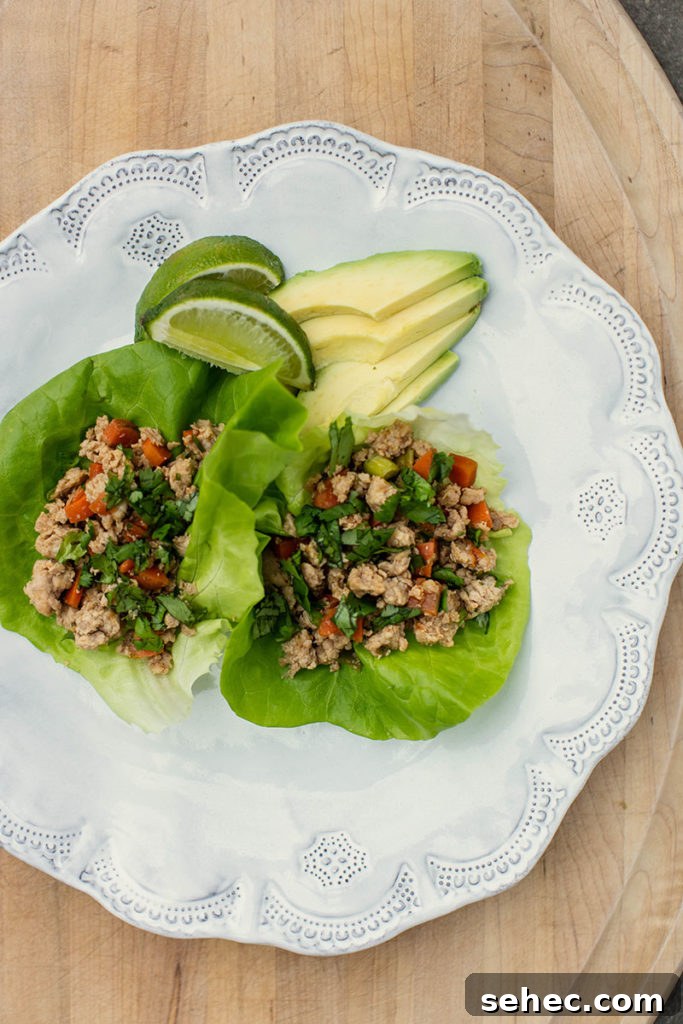 Plated chicken lettuce cups ready to eat