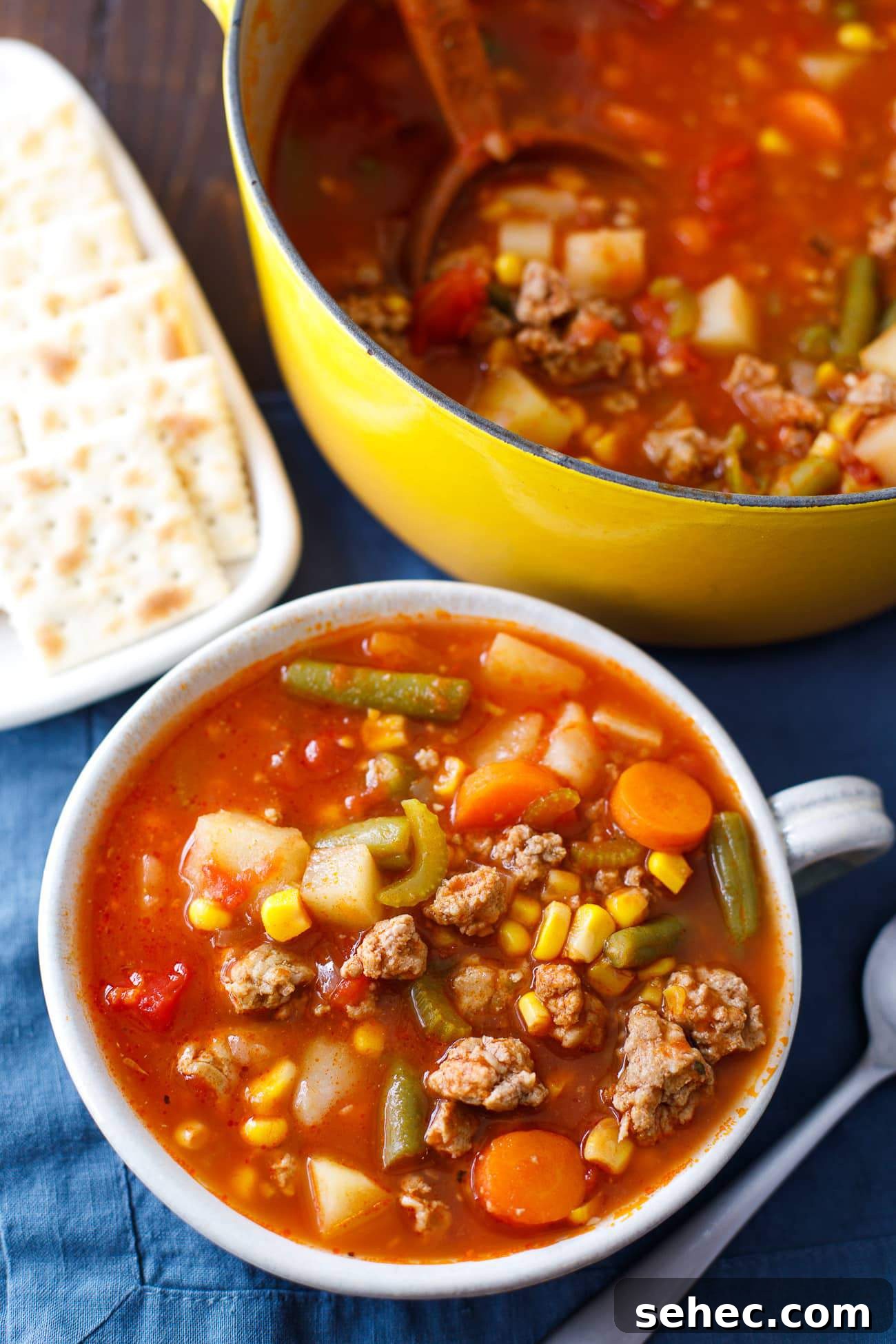 Ground Turkey Vegetable Soup Recipe 3 overhead shot of stew in a bowl