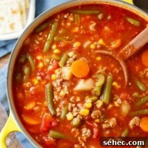 Ground Turkey Vegetable Soup Recipe 6 ground turkey vegetable soup recipe