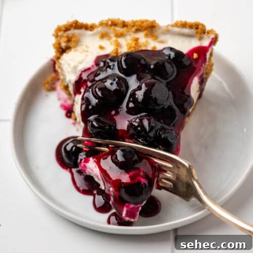A bite being taken from a slice of no bake blueberry cheesecake.