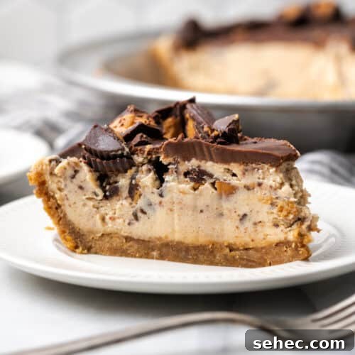 A slice of peanut butter pie topped with chocolate ganache and peanut butter cups.
