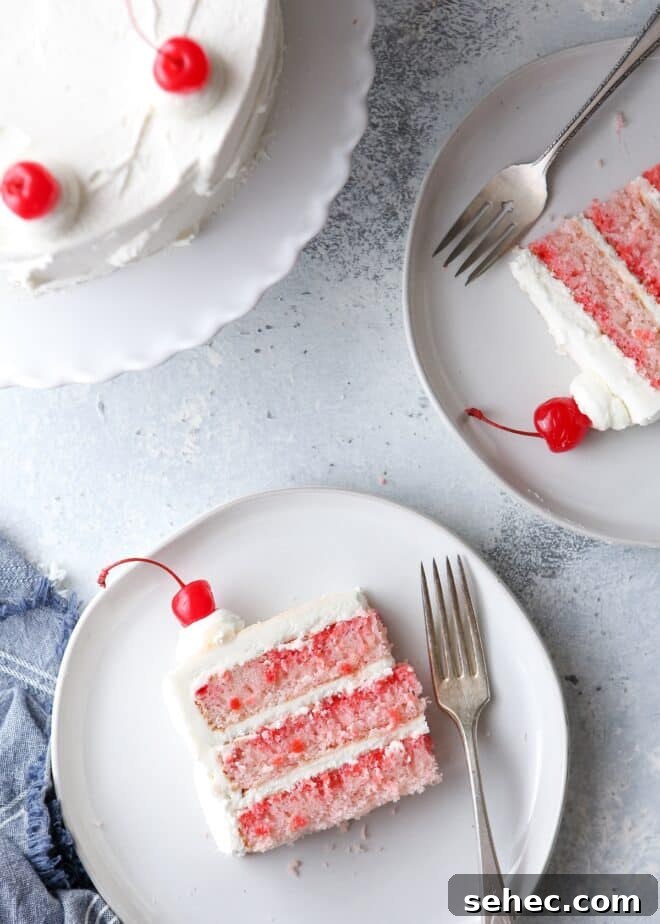 Top 10 Most Popular Recipes of 2022 4 This cherry chip cake, smothered in a fluffy whipped vanilla buttercream, is a homemade version of a boxed cake mix favorite. It’s also the perfect celebration cake!