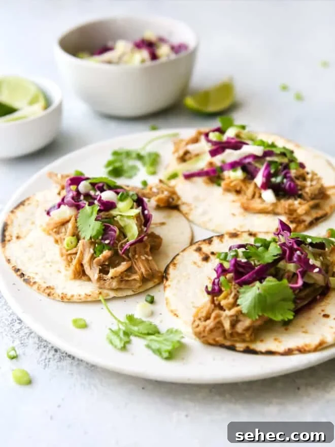 Top 10 Most Popular Recipes of 2022 5 close up view of slow cooker korean pork tacos on a plate
