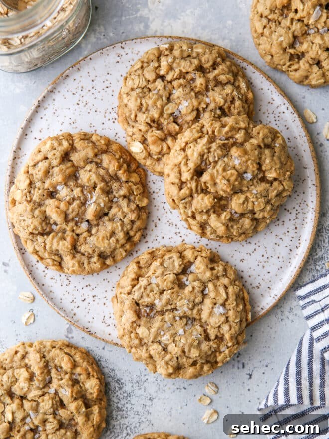 Top 10 Most Popular Recipes of 2022 6 closeup of oatmeal cookies on a plate