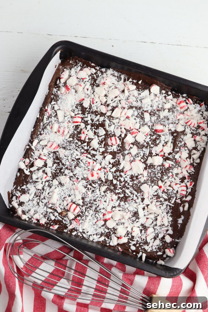 Homemade Peppermint Fudge Recipe in the Microwave 12 Crushed peppermint candy sprinkled over fudge