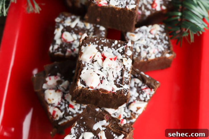 Peppermint fudge serving image