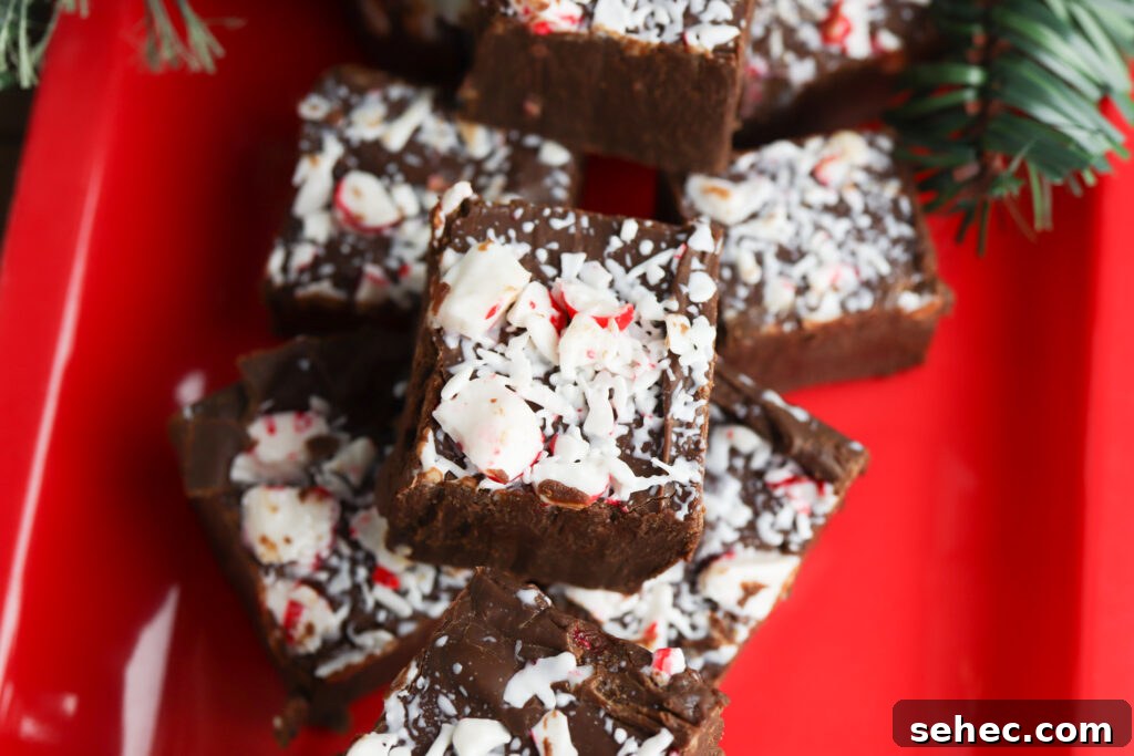 Homemade Peppermint Fudge Recipe in the Microwave 3 Homemade peppermint fudge with crushed candy topping