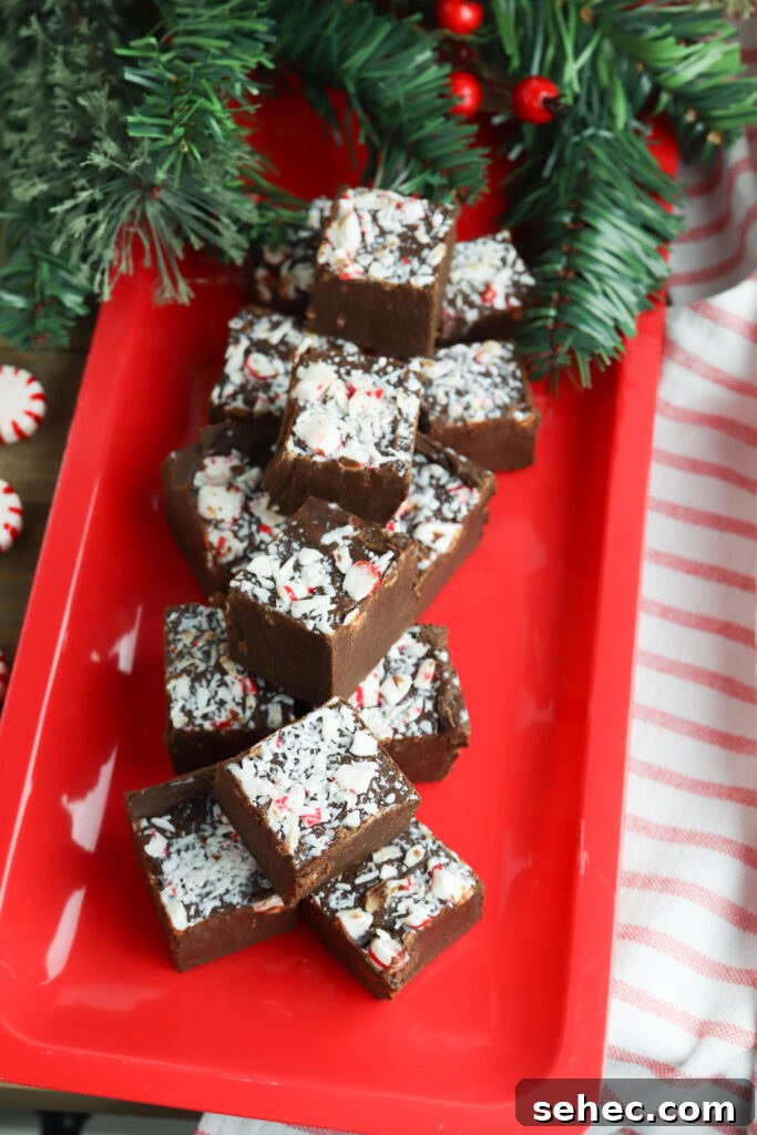 Homemade Peppermint Fudge Recipe in the Microwave 6 Easy homemade chocolate peppermint fudge