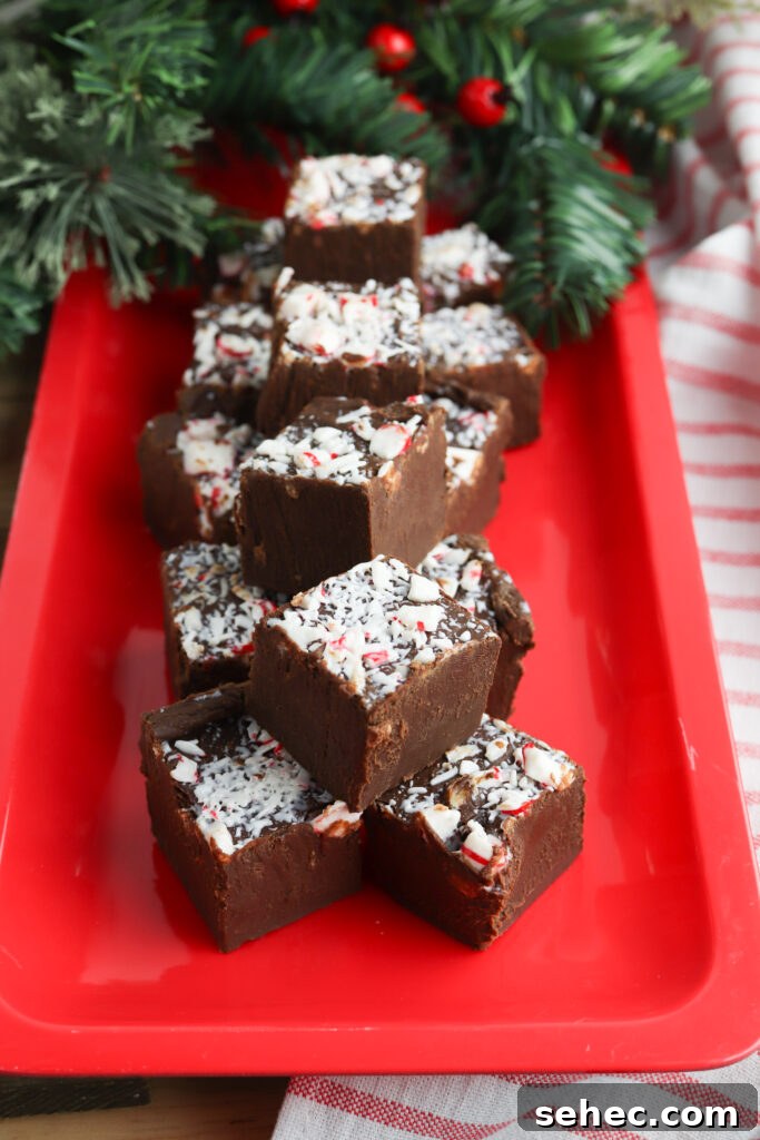 Homemade Peppermint Fudge Recipe in the Microwave 7 Holiday peppermint fudge topped with crushed candies