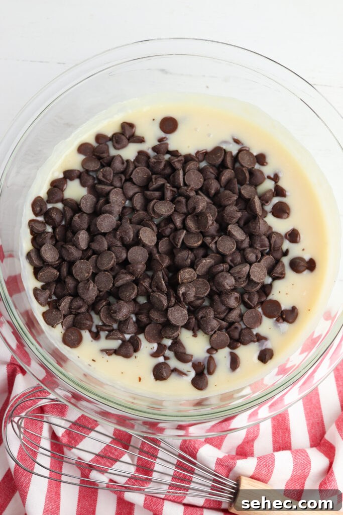 Homemade Peppermint Fudge Recipe in the Microwave 10 Chocolate chips added to condensed milk for fudge