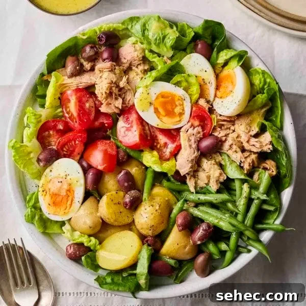 Rice Salad with Fresh Vegetables and Herbs 10 A large plate of Salad Nicoise.