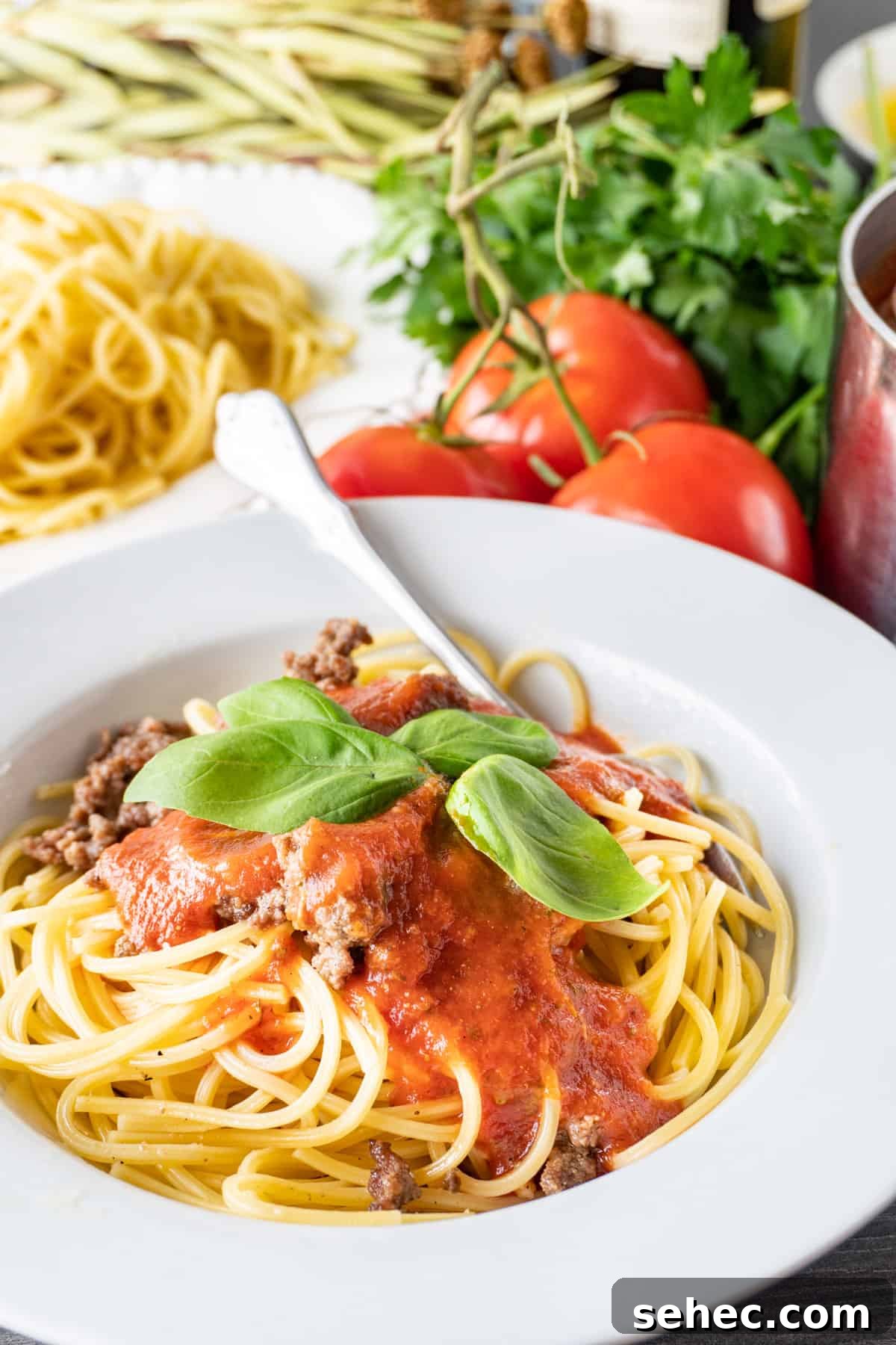 Pasta Marinara with Homemade Tomato Sauce 3 Pasta Marinara on noodles with basil