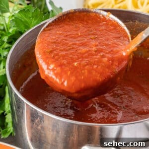 Pasta Marinara with Homemade Tomato Sauce 8 Pasta Marinara in ladle featured image