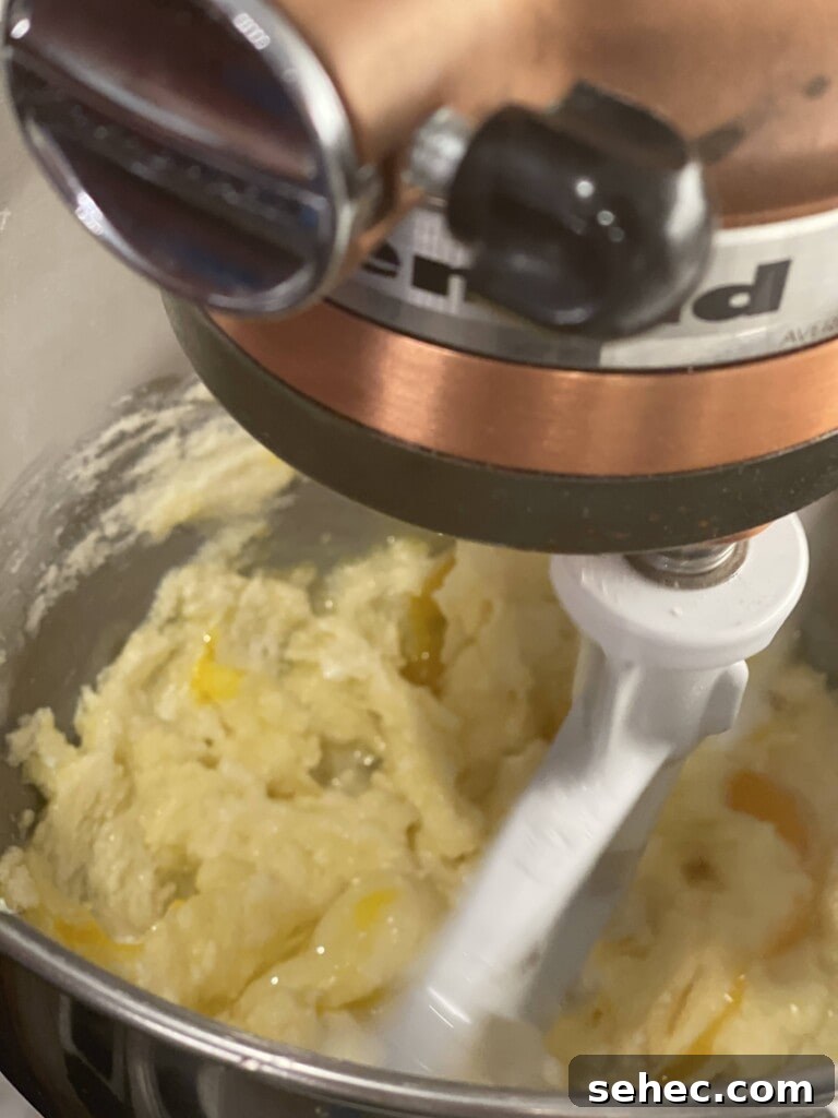 mixing biscotti dough