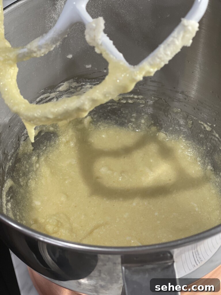 almond biscotti wet ingredients