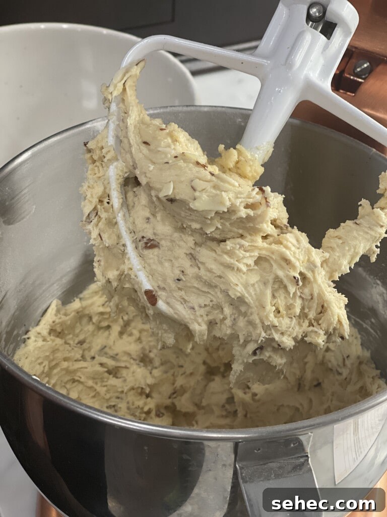 folding almonds into biscotti dough