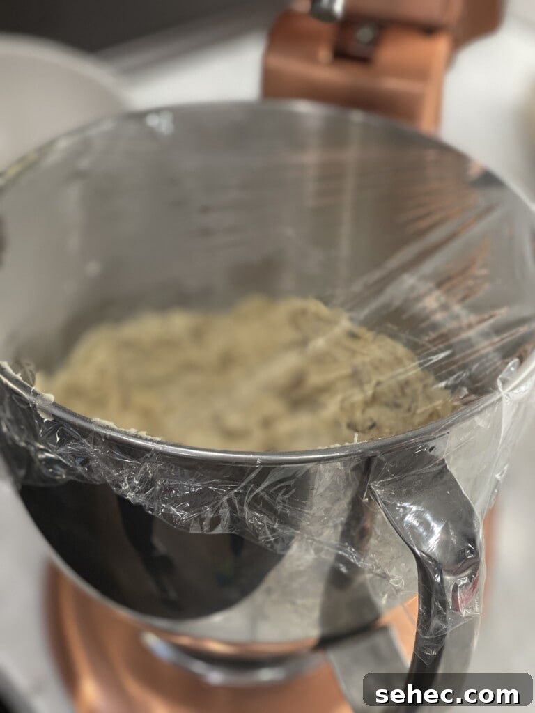 almond biscotti dough