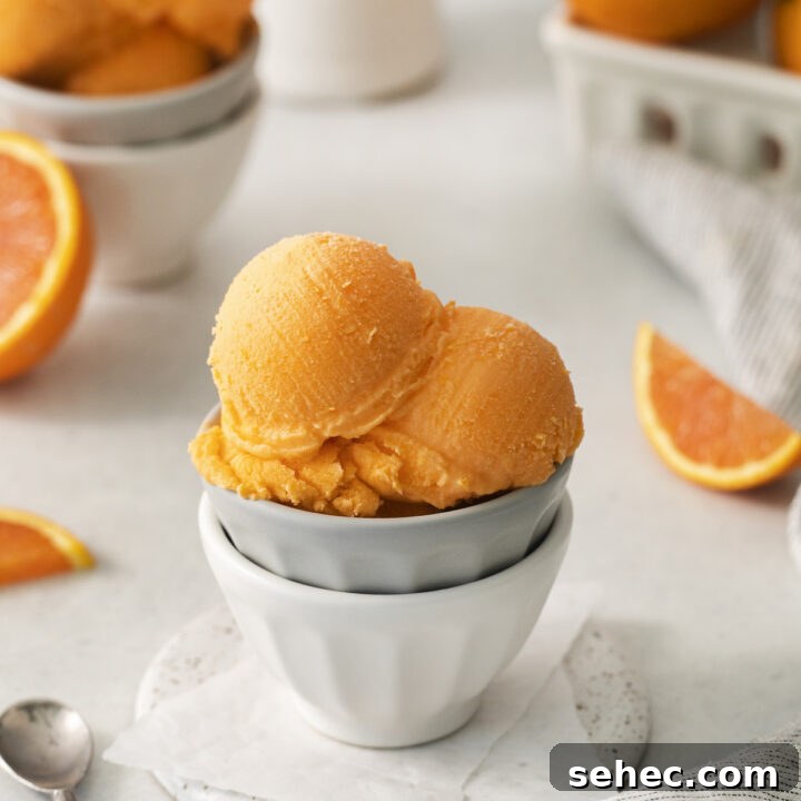 two small bowls stacked, holding three scoops of orange sherbet. In the background are fresh oranges.