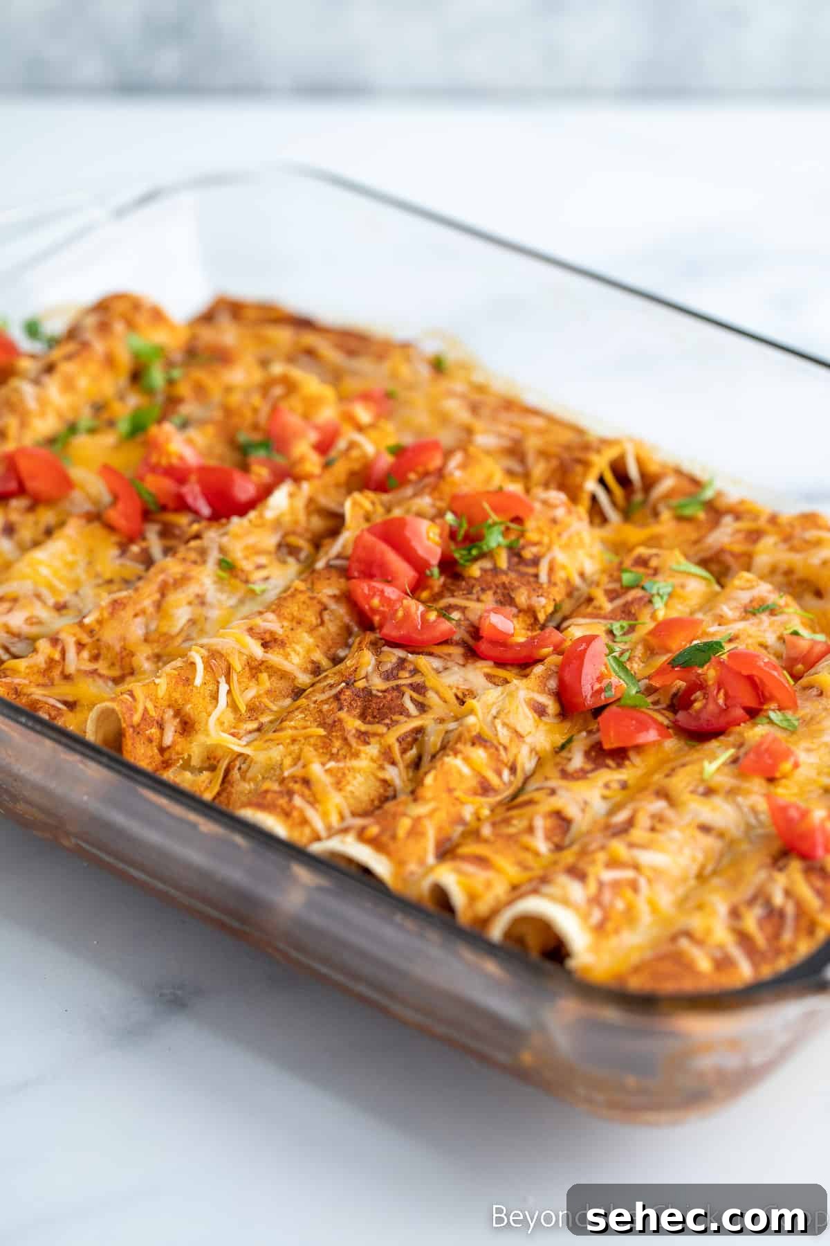 Ground Turkey Enchiladas Recipe 12 Enchiladas topped with diced tomatoes in a glass baking dish.