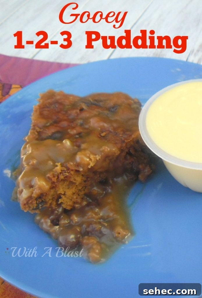 Warm Gooey 1-2-3 Pudding served as a comforting dessert Warm Gooey 1-2-3 Pudding served as a comforting dessert