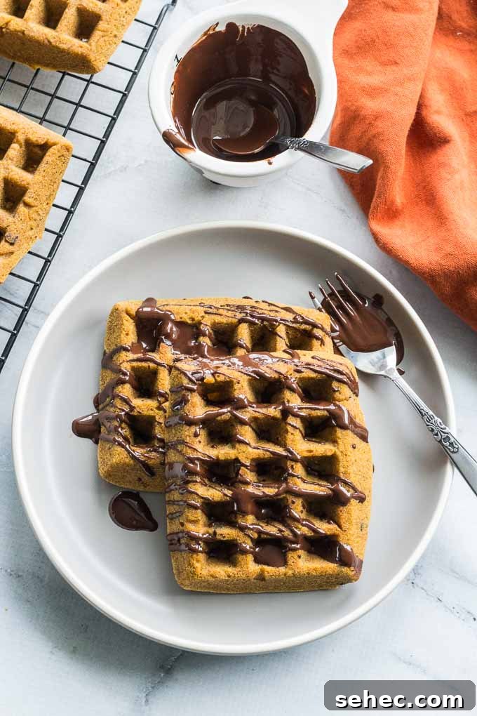 Grain Free Pumpkin Chocolate Chip Waffles 5 Overhead view of grain-free pumpkin chocolate chip waffles served on a gray plate with melted chocolate drizzled over the top.