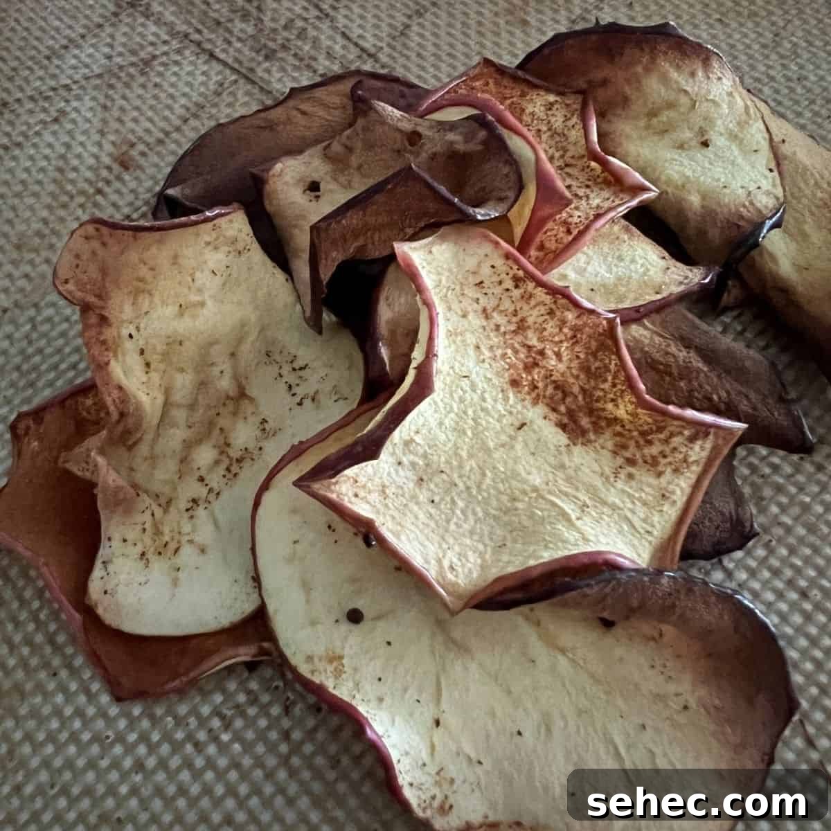 Weight Watchers Air Fryer Apple Chips 2 Air fryer apple chips made with sliced apples and cinnamon for a quick Weight Watchers friendly fall snack