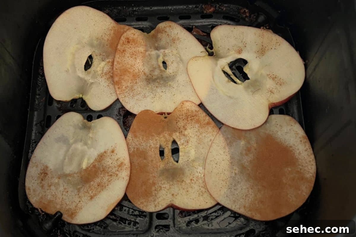 Weight Watchers Air Fryer Apple Chips 4 Apple slices arranged in an air fryer basket for homemade apple chips