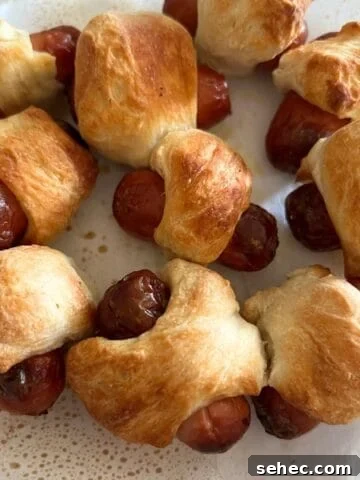 Air fryer appetizers